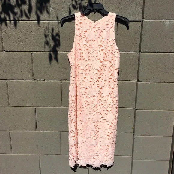 Antonio Melani Dresses | Nwot Antonio Melani Lace Dress | Color: Pink | Size: 12 | Fashionhouse8's Closet